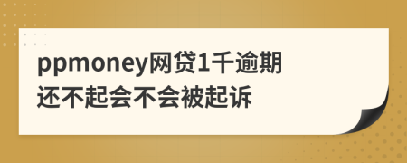 ppmoney网贷1千逾期还不起会不会被起诉