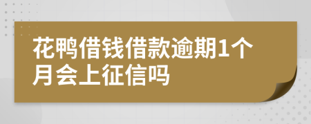 花鸭借钱借款逾期1个月会上征信吗