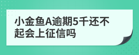 小金鱼A逾期5千还不起会上征信吗