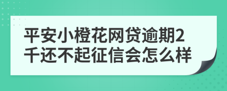 平安小橙花网贷逾期2千还不起征信会怎么样