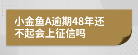 小金鱼A逾期48年还不起会上征信吗