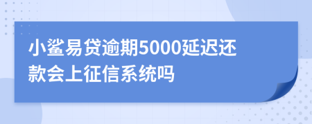 小鲨易贷逾期5000延迟还款会上征信系统吗