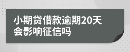 小期贷借款逾期20天会影响征信吗