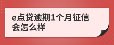 e点贷逾期1个月征信会怎么样