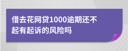 借去花网贷1000逾期还不起有起诉的风险吗