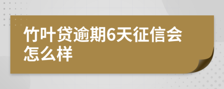 竹叶贷逾期6天征信会怎么样