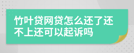 竹叶贷网贷怎么还了还不上还可以起诉吗