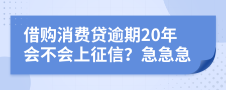 借购消费贷逾期20年会不会上征信？急急急