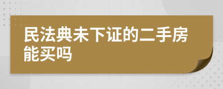 民法典未下证的二手房能买吗