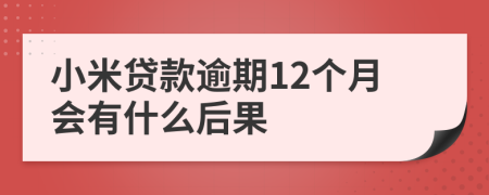 小米贷款逾期12个月会有什么后果