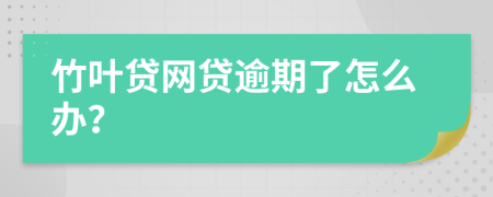 竹叶贷网贷逾期了怎么办？