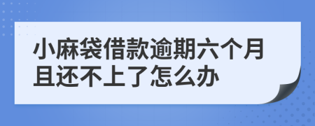 小麻袋借款逾期六个月且还不上了怎么办