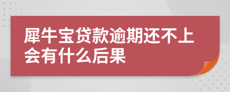 犀牛宝贷款逾期还不上会有什么后果