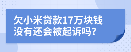 欠小米贷款17万块钱没有还会被起诉吗？