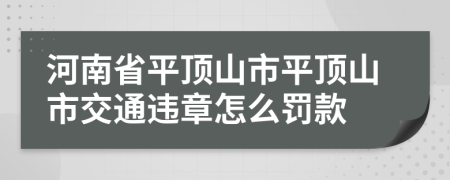 河南省平顶山市平顶山市交通违章怎么罚款