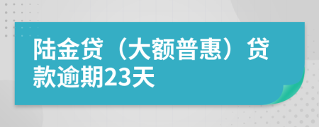 陆金贷（大额普惠）贷款逾期23天