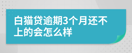 白猫贷逾期3个月还不上的会怎么样