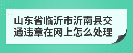 山东省临沂市沂南县交通违章在网上怎么处理