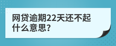 网贷逾期22天还不起什么意思？