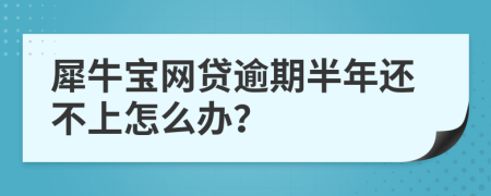 犀牛宝网贷逾期半年还不上怎么办？