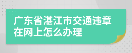 广东省湛江市交通违章在网上怎么办理