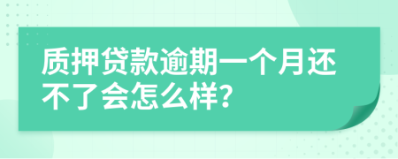 质押贷款逾期一个月还不了会怎么样？