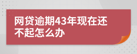 网贷逾期43年现在还不起怎么办