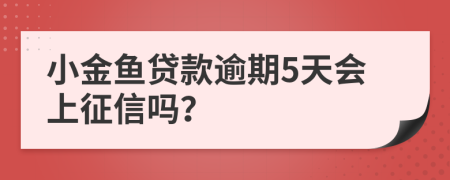 小金鱼贷款逾期5天会上征信吗？