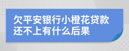 欠平安银行小橙花贷款还不上有什么后果