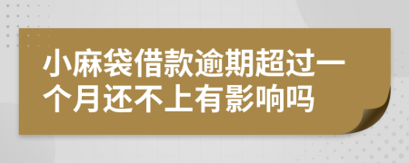 小麻袋借款逾期超过一个月还不上有影响吗