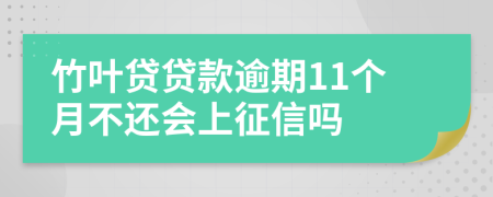 竹叶贷贷款逾期11个月不还会上征信吗