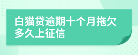 白猫贷逾期十个月拖欠多久上征信