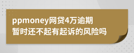 ppmoney网贷4万逾期暂时还不起有起诉的风险吗