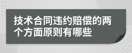 技术合同违约赔偿的两个方面原则有哪些