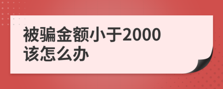 被骗金额小于2000该怎么办