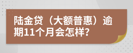 陆金贷（大额普惠）逾期11个月会怎样？