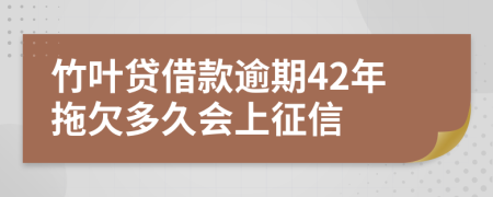 竹叶贷借款逾期42年拖欠多久会上征信