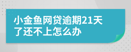 小金鱼网贷逾期21天了还不上怎么办