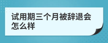 试用期三个月被辞退会怎么样