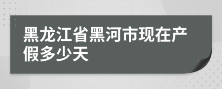 黑龙江省黑河市现在产假多少天