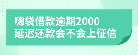 嗨袋借款逾期2000延迟还款会不会上征信