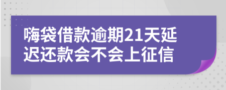 嗨袋借款逾期21天延迟还款会不会上征信