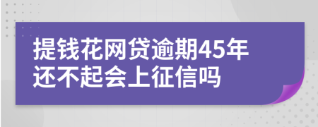 提钱花网贷逾期45年还不起会上征信吗