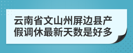 云南省文山州屏边县产假调休最新天数是好多