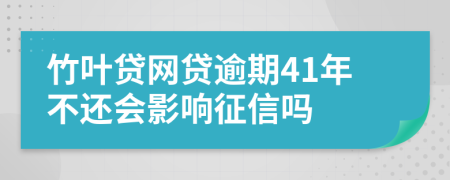 竹叶贷网贷逾期41年不还会影响征信吗