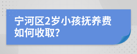 宁河区2岁小孩抚养费如何收取？