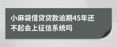 小麻袋借贷贷款逾期45年还不起会上征信系统吗