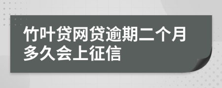 竹叶贷网贷逾期二个月多久会上征信