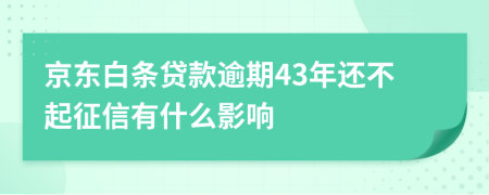 京东白条贷款逾期43年还不起征信有什么影响