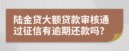 陆金贷大额贷款审核通过征信有逾期还款吗？